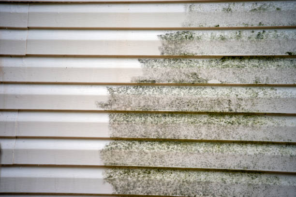 Best Insulated Siding Installation  in Newburg, WI