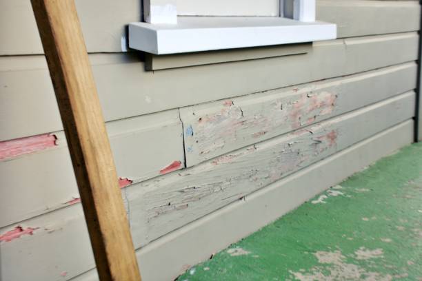 Affordable siding repair and maintenance services in Newburg, WI